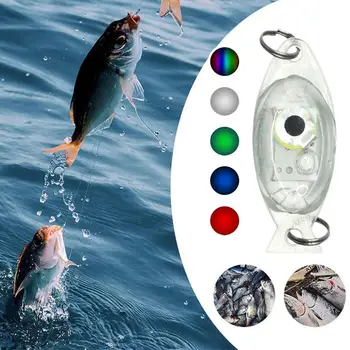 Mini Led Podvodné Nočný Rybolov Svetlo Lákať Na Pritiahnutie Návnady A Ryby Nočný Rybolov Svetlo Rybárske Lampa 5 Farieb Optiona L0e0
